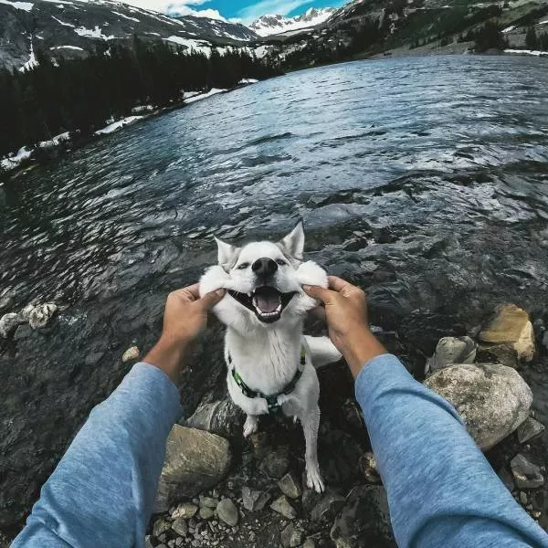 Picdump 1142 - #25  Picdump 1142 - #25