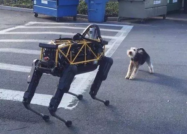 Picdump 1144 - #23  Picdump 1144 - #23