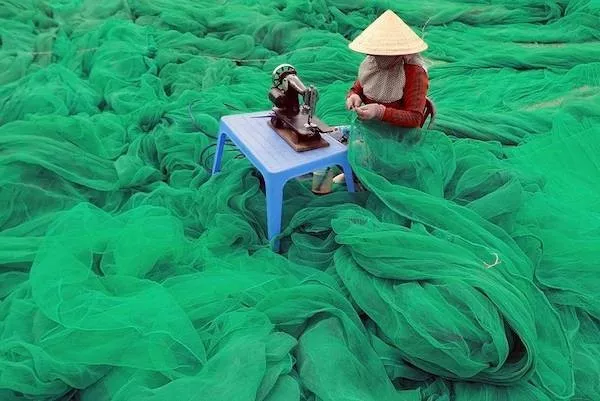 Picdump 1145 - #35  Picdump 1145 - #35