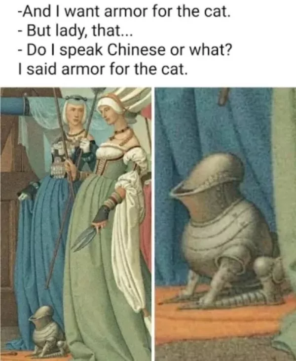 Funniest cats photos ever - #23 Funniest cats photos ever - #23