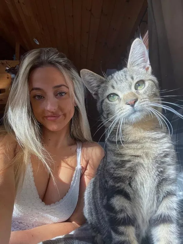 Photos chats droles et hilarants - #3 