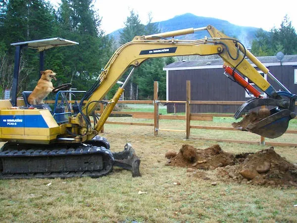 Picdump 1146 - #19  Picdump 1146 - #19