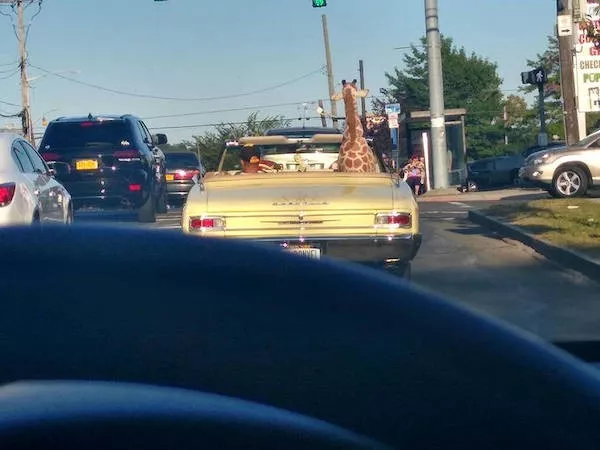 Picdump 1146 - #32  Picdump 1146 - #32