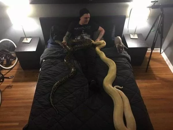 Picdump 1146 - #39  Picdump 1146 - #39