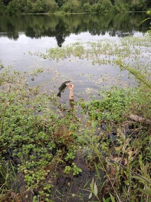 Picdump 1146 - #9  Picdump 1146 - #9