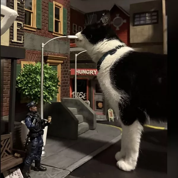 Picdump 1147 - #15  Picdump 1147 - #15