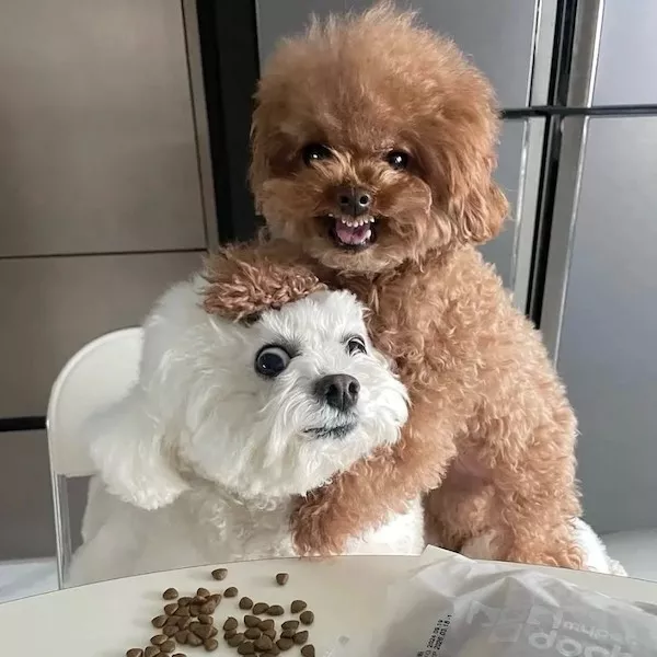 Picdump 1147 - #22 Picdump 1147 - #22