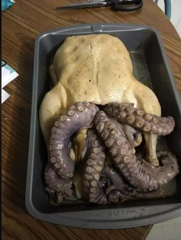 Picdump 1147 Picdump 1147