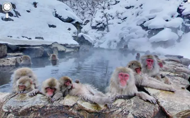 The best moments captured by google street view - #13 