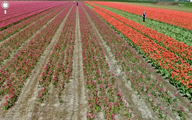 The best moments captured by google street view - #21 