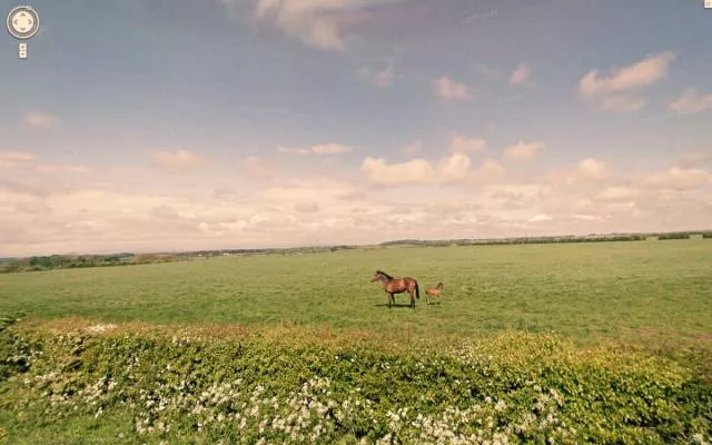 The best moments captured by google street view - #4 