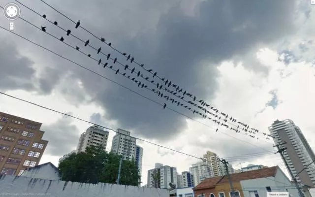 Les meilleurs moments pris par google street view - #7 