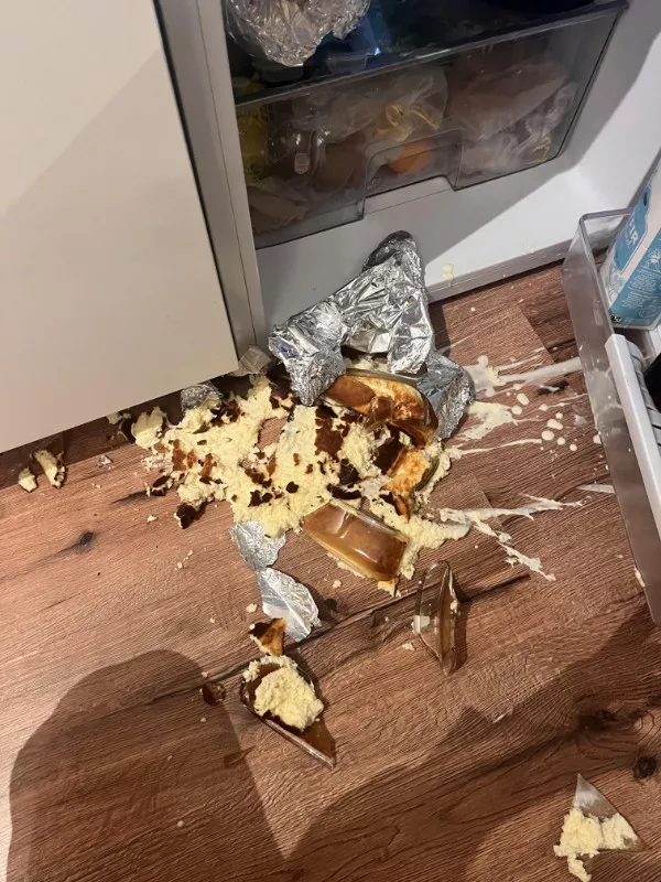 Fail oclock hilarious mistakes - #17  Fail oclock hilarious mistakes - #17