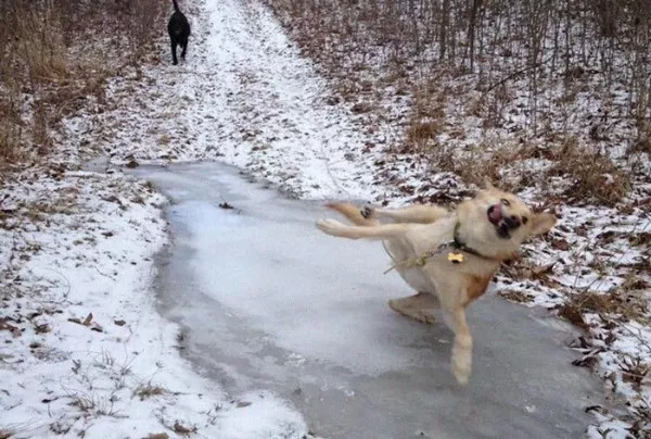 Fail oclock hilarious mistakes - #2  Fail oclock hilarious mistakes - #2