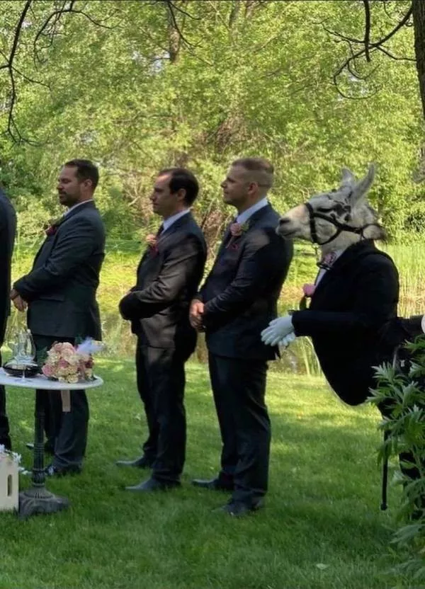 Picdump 1148 - #11  Picdump 1148 - #11