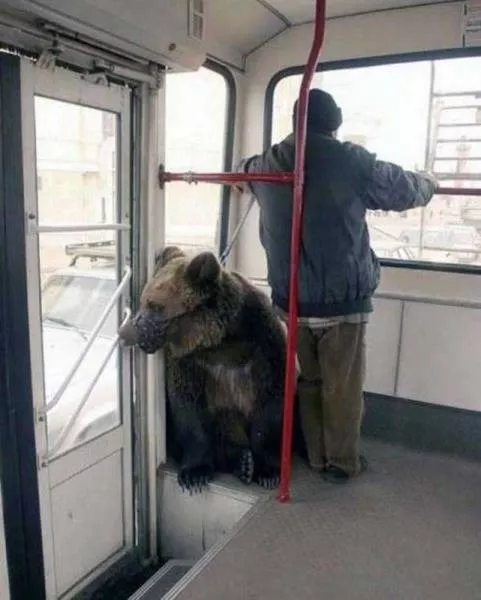 It only happens in russia - #4 