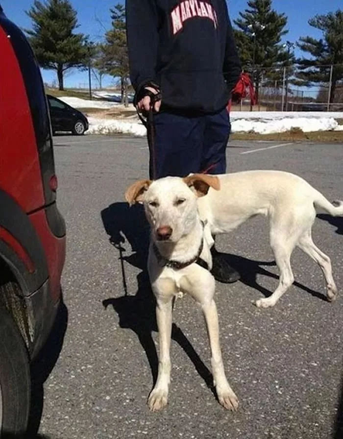 Tricky photos zoom in funny illusions - #13 