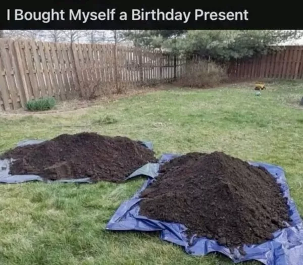 Si rien ne vous coute attendez vous a une surprise - #11 