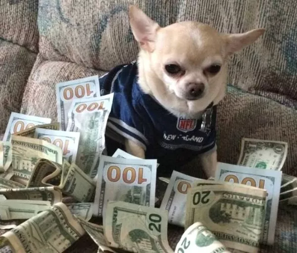 Si rien ne vous coute attendez vous a une surprise - #3 