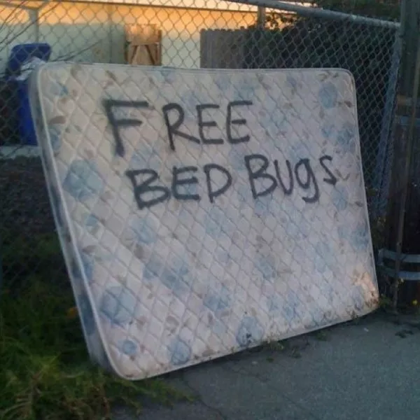 Si rien ne vous coute attendez vous a une surprise - #5 