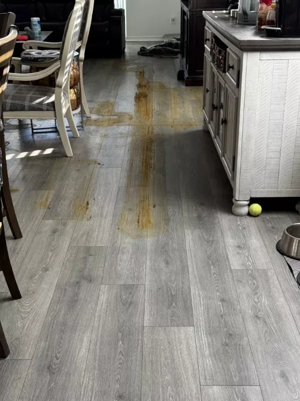 Quand tout tourne au desastre drole - #12 Quand tout tourne au desastre drole - #12