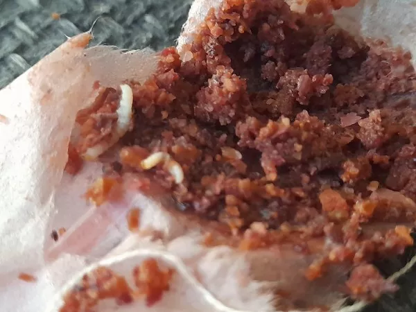 When everything goes hilariously wrong - #21 