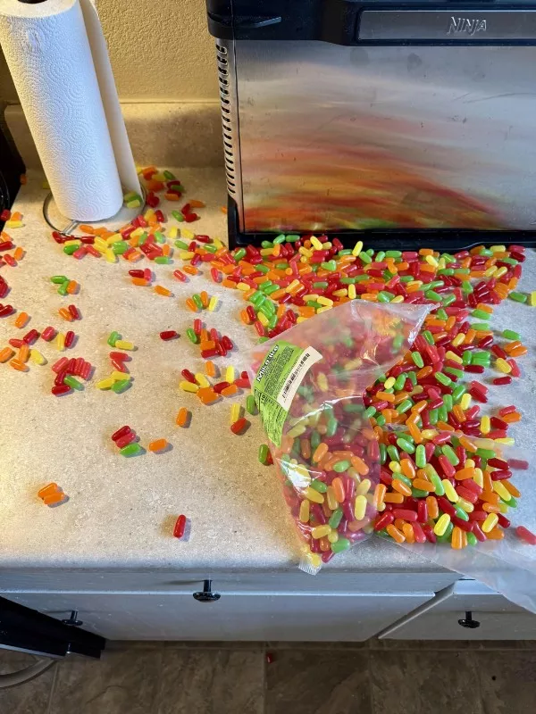 Quand tout tourne au desastre drole Quand tout tourne au desastre drole