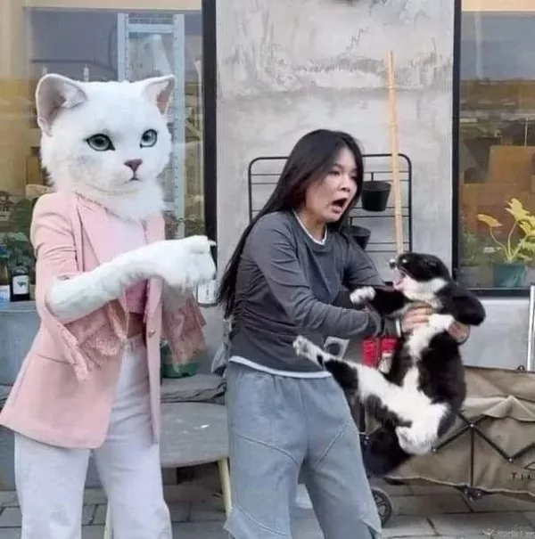 Ready for a wild wtf photo ride - #15 Ready for a wild wtf photo ride - #15