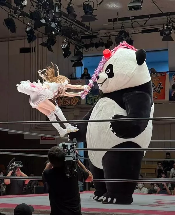 Ready for a wild wtf photo ride - #19 Ready for a wild wtf photo ride - #19