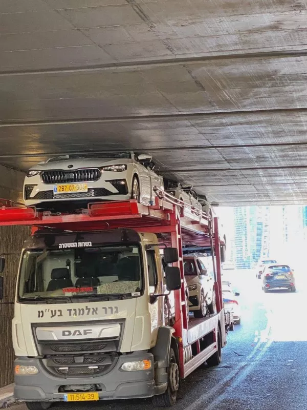 Ready for a wild wtf photo ride - #20 Ready for a wild wtf photo ride - #20