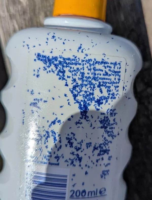 Ready for a wild wtf photo ride - #37 