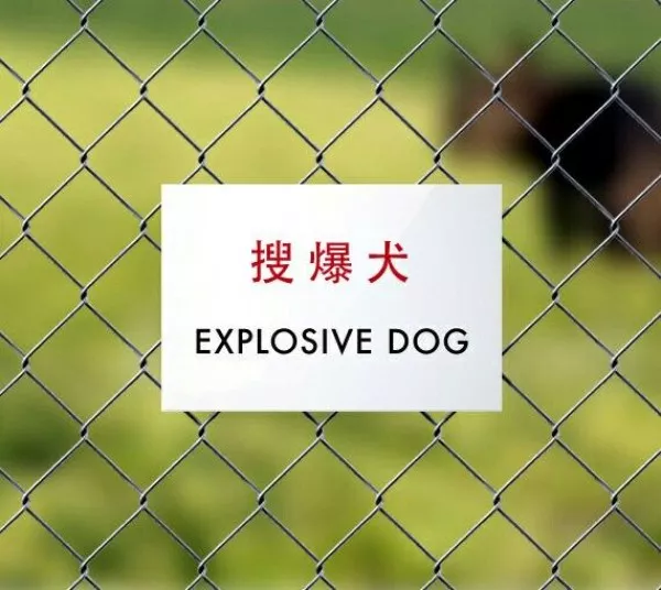 Captain your life steer your own course - #24  Captain your life steer your own course - #24