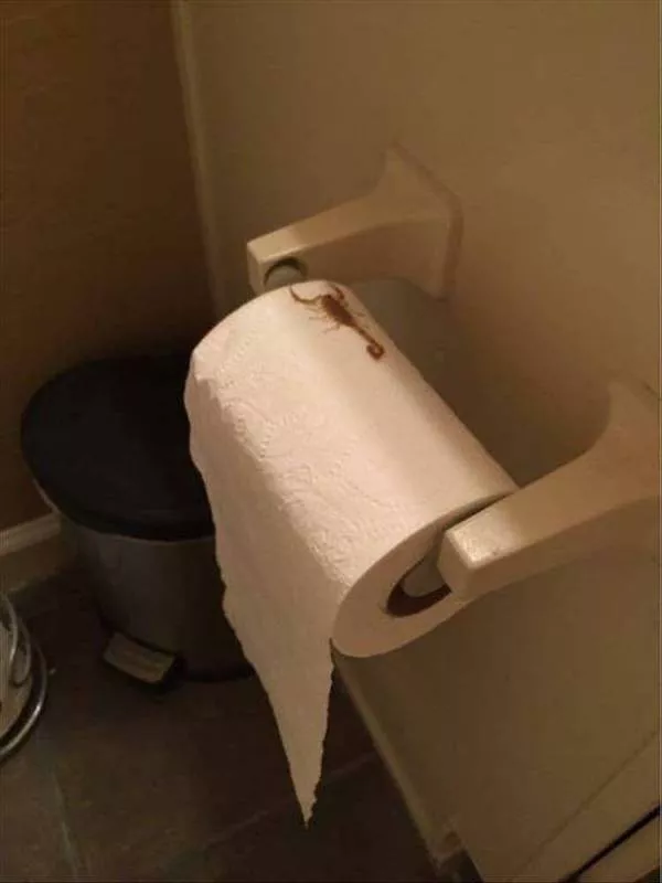 Picdump 1151 - #24 Picdump 1151 - #24