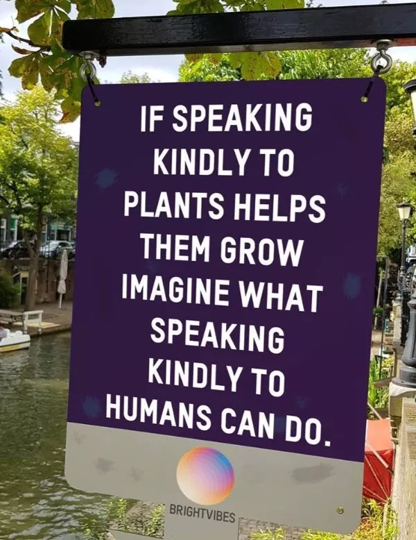 Une dose tendre de memes bienveillants - #12  Une dose tendre de memes bienveillants - #12