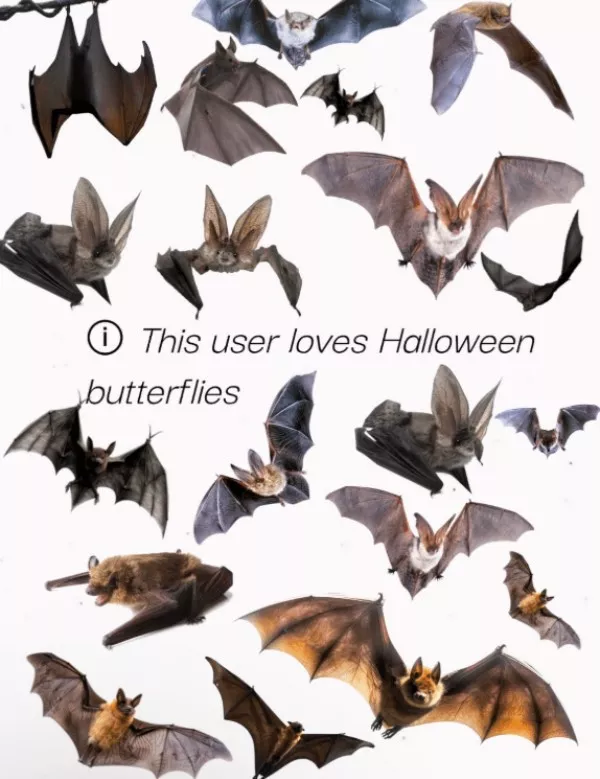 A cozy collection of wholesome memes - #16 