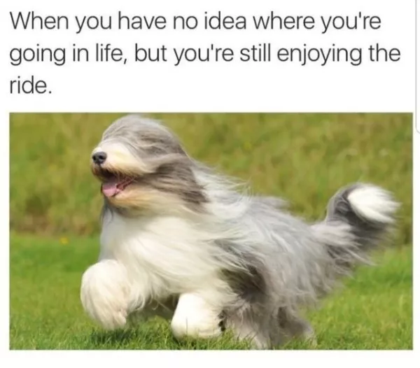 A cozy collection of wholesome memes - #17 