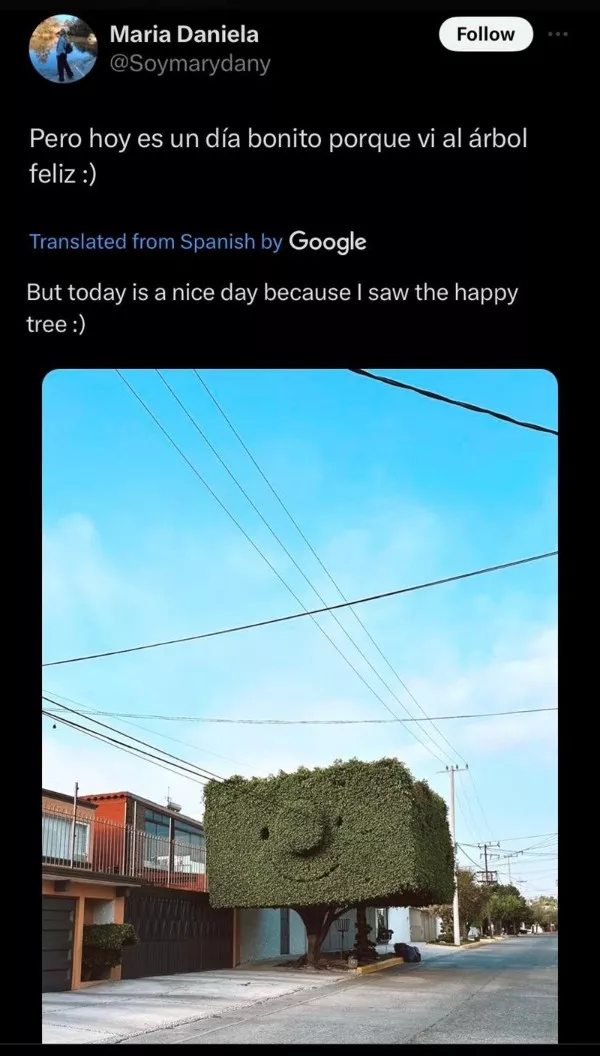 Une dose tendre de memes bienveillants - #5  Une dose tendre de memes bienveillants - #5