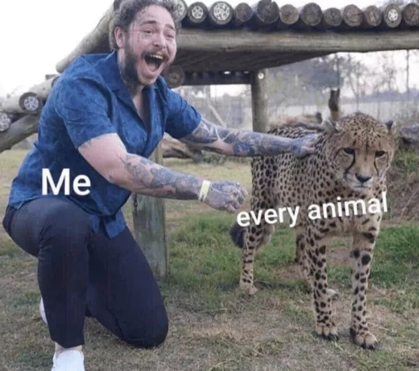 A cozy collection of wholesome memes - #8 