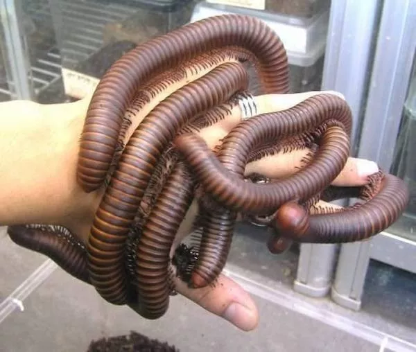 Picdump 1153 - #33 Picdump 1153 - #33