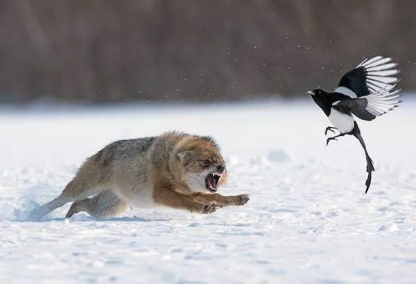 Picdump 1153 - #40 Picdump 1153 - #40