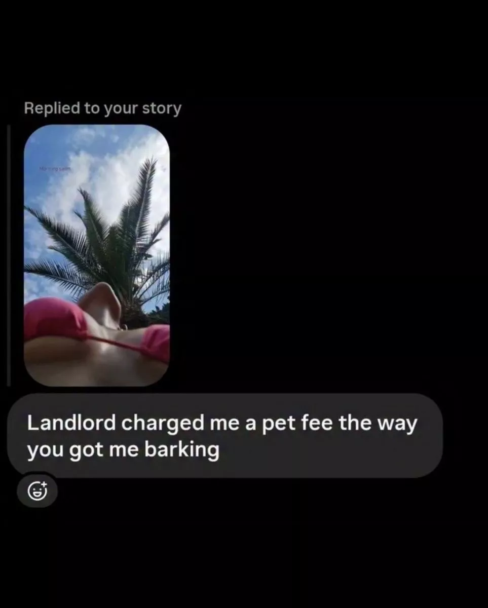 Captures de messages hilarants hors contexte