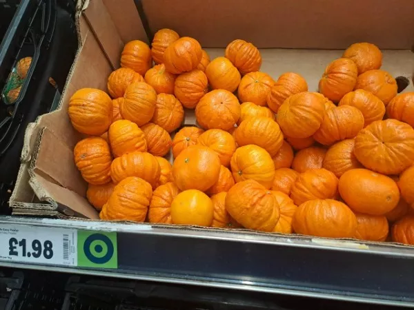 Mildly interesting moments caught in pics - #21 Mini pumpkins? Nope… bizarre oranges!
