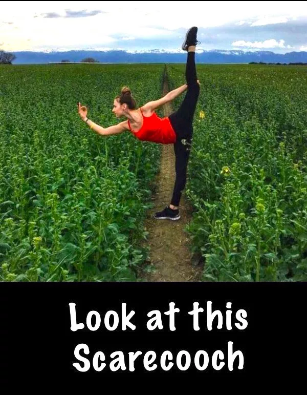 Memes amusants et irresistibles - #15  Memes amusants et irresistibles - #15