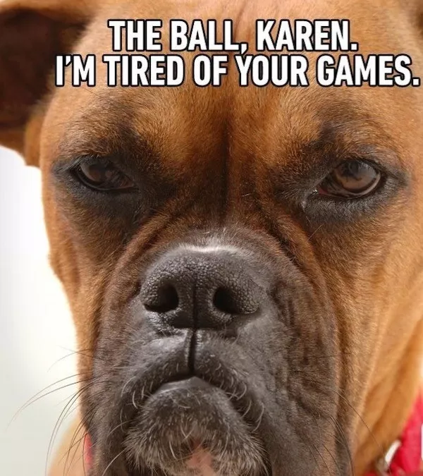 Memes amusants et irresistibles - #16  Memes amusants et irresistibles - #16