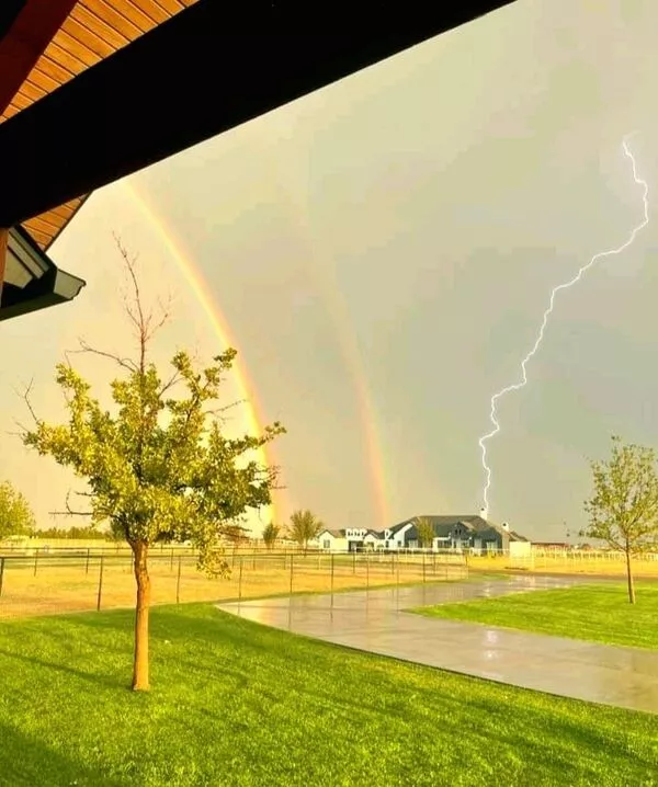 When calm meets chaos in the rain - #6 