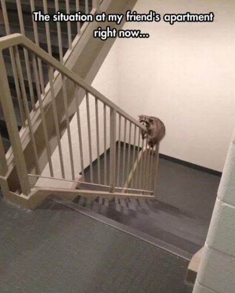 Picdump 21 - #12 