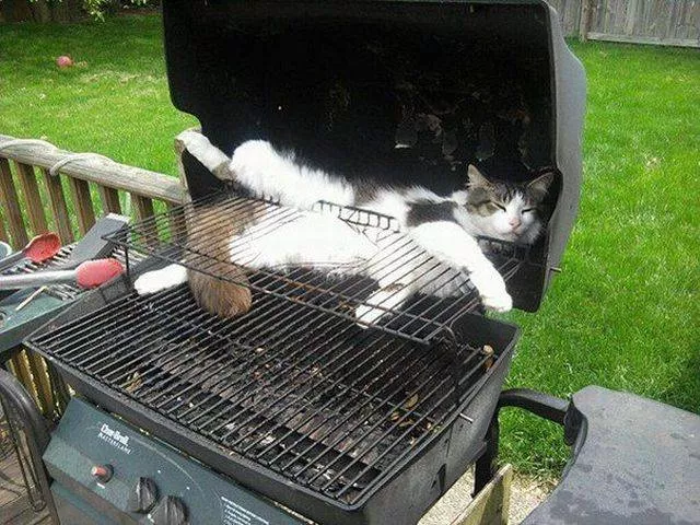 Picdump 21 - #14 