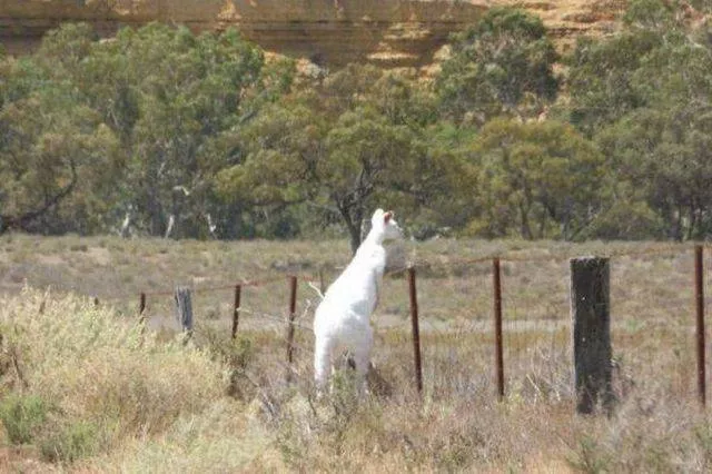 Picdump 21 - #18 