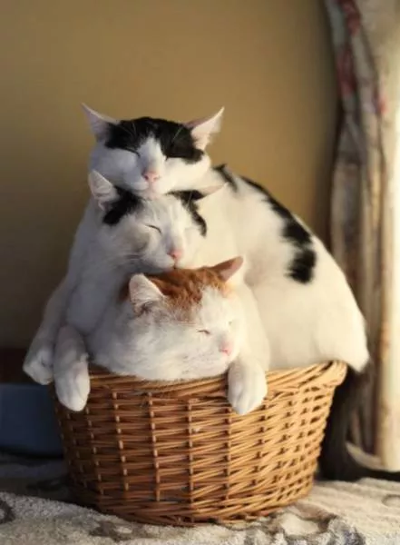 Picdump 21 - #27 