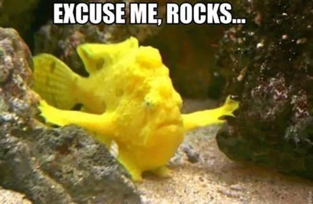 Picdump 21 - #39 